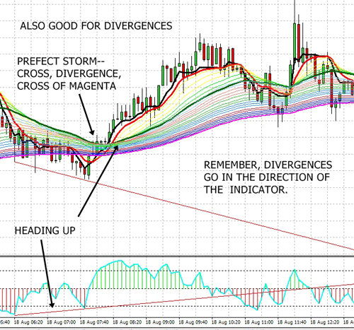 Divergence Forex