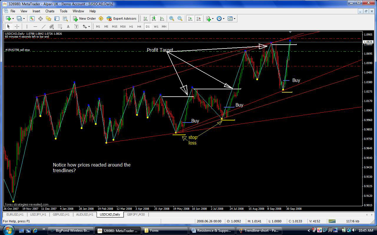 forex techniques revealed