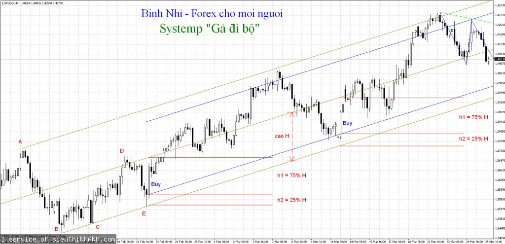 binh nhi forex