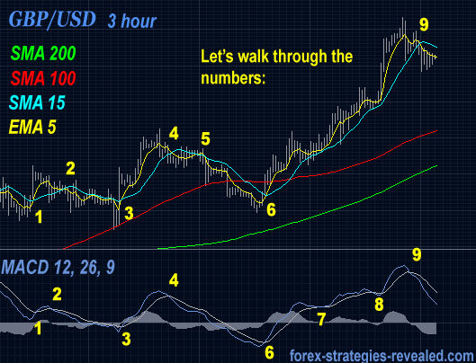 FOREX TRADING SYSTEM