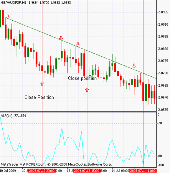 forex strategy Willims %R