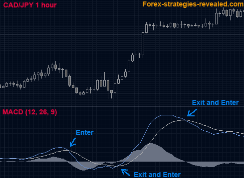 FOREX TRADING SYSTEM