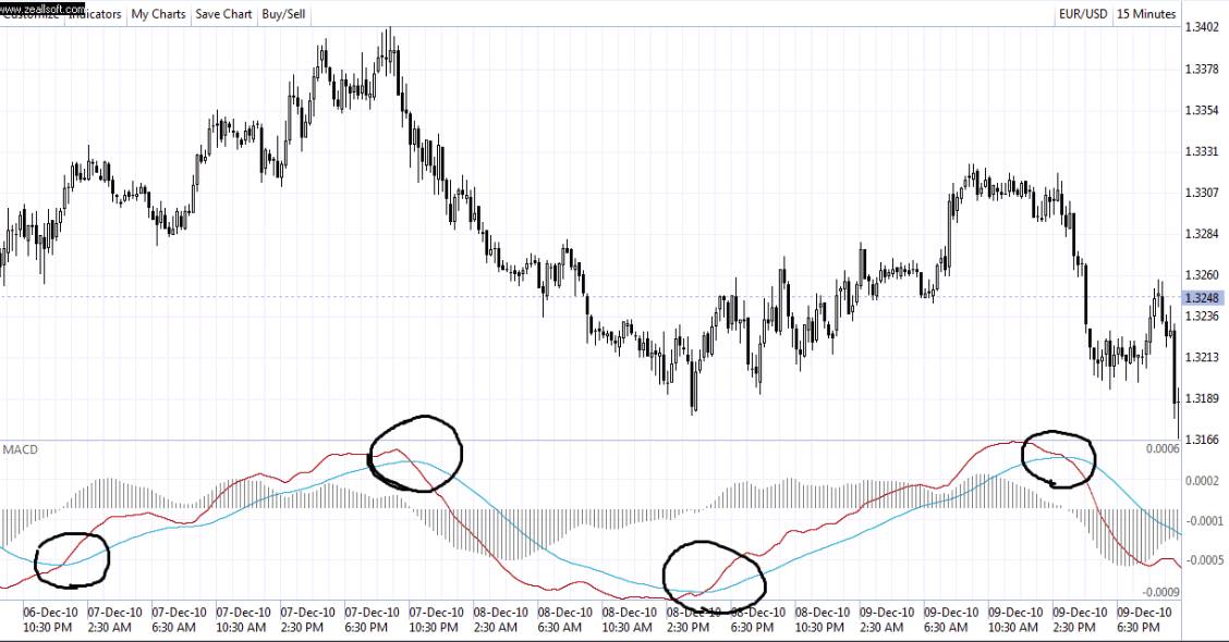 forex stupid guy system